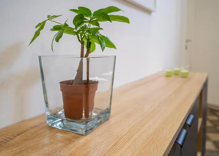 Sun Sicily 卡塔尼亚